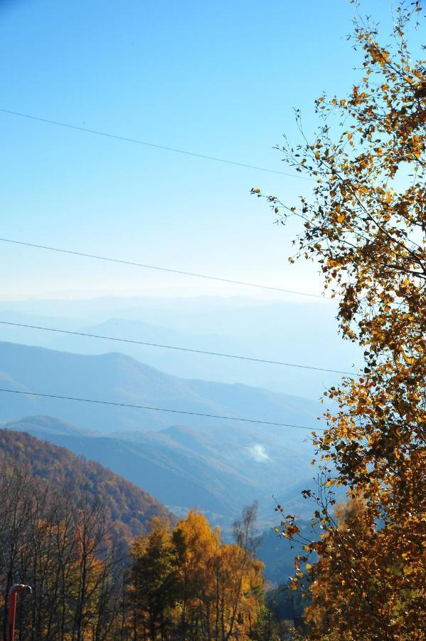 Apartmani Krstojevic Kopaonik Bagian luar foto